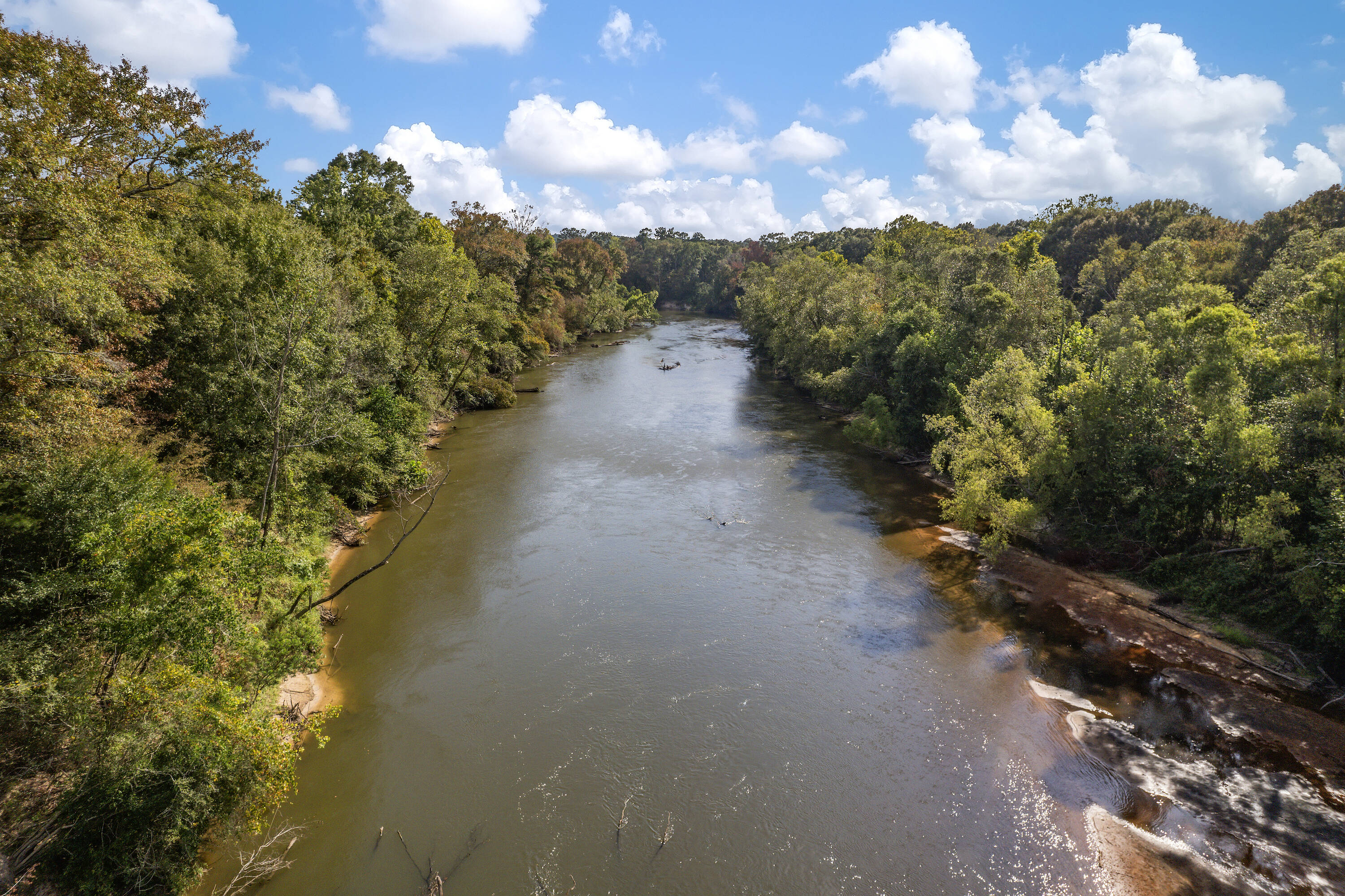 Land for Sale in Franklinton Louisiana 70438